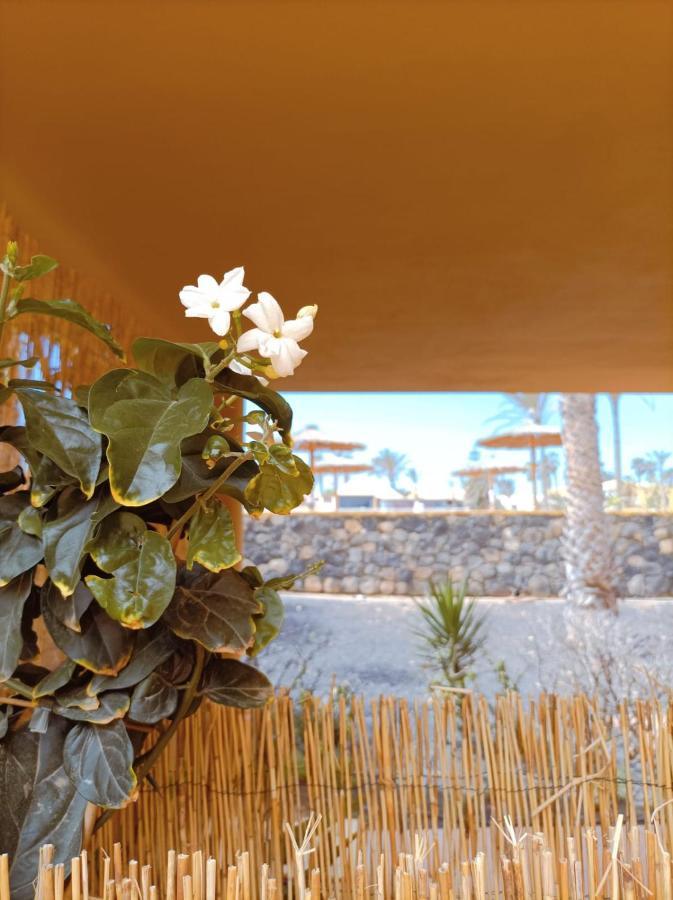Mai Fuerteventura By Best Holidays Fuerteventura Apartment Коралео Екстериор снимка